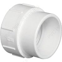 2" Cleanout Adapter S x F DWV Fitting, D105-020
