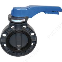 2" Hayward BYCN Series PVC Butterfly Valve Lever, EPDM Liner