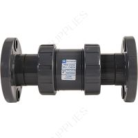 6" Hayward TC Series True Union PVC Check Valve